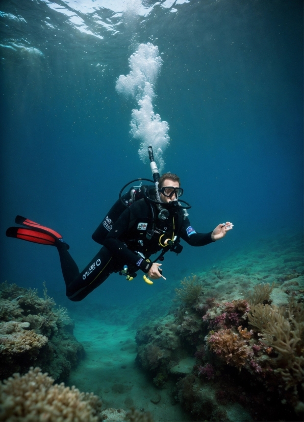 Water, Underwater Diving, Diving Equipment, Scuba Diving, Divemaster, Natural Environment