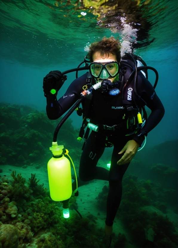 Water, Underwater Diving, Scuba Diving, Divemaster, Vertebrate, Diving Equipment