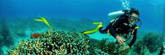 Water, Underwater Diving, Scuba Diving, Diving Equipment, Natural Environment, Fluid