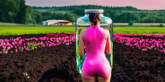 Youtube Stock Video Library, Plant, Flower, Green, People In Nature, Sleeve