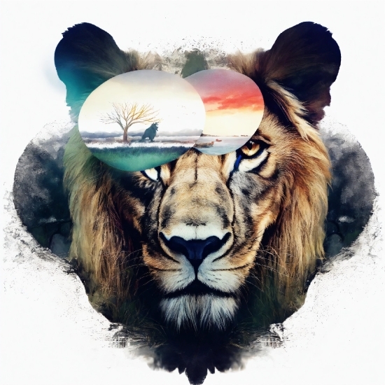 Apple Imovie, Roar, Vertebrate, Jaw, Mammal, Felidae