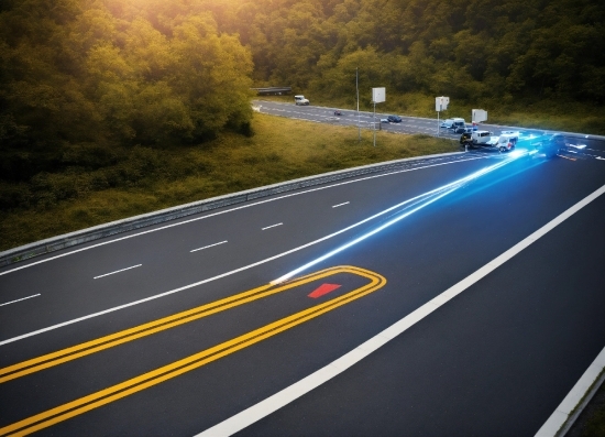 Automotive Lighting, Road Surface, Plant, Asphalt, Tree, Motor Vehicle