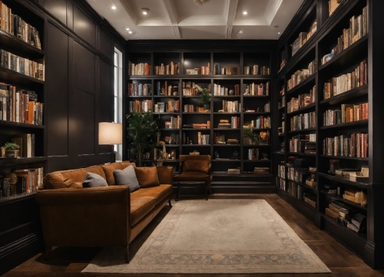 Aviary Image Editor, Bookcase, Shelf, Property, Book, Shelving