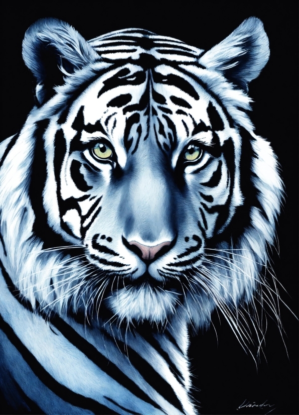 Bengal Tiger, Siberian Tiger, Tiger, Eye, Vertebrate, Felidae