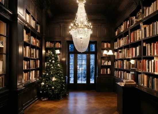 Bookcase, Property, Christmas Tree, Shelf, Light, Lighting