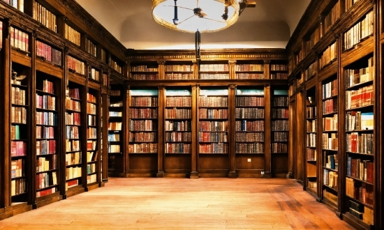 Bookcase, Shelf, Book, Publication, Shelving, Interior Design