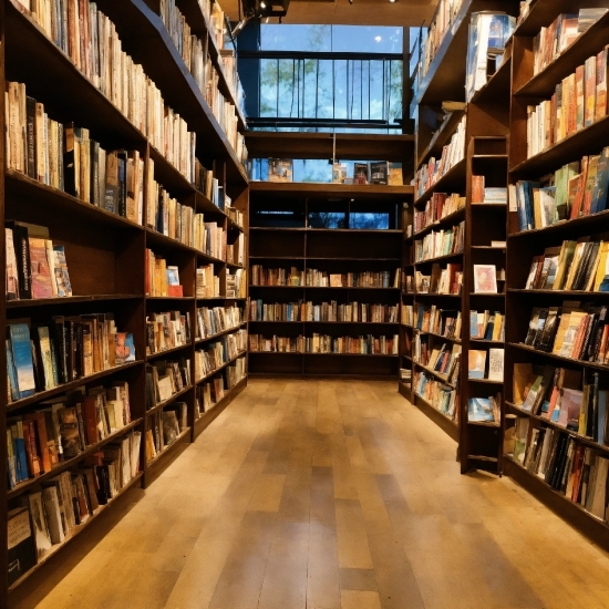Bookcase, Shelf, Book, Shelving, Publication, Retail