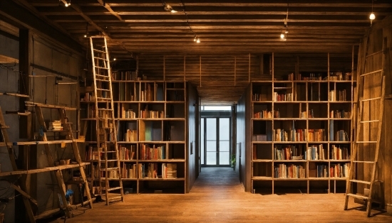 Bookcase, Shelf, Building, Publication, Shelving, Wood
