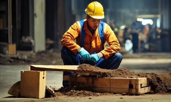 Coreldraw Student License, Wood, Tradesman, Workwear, Bluecollar Worker, Construction Worker