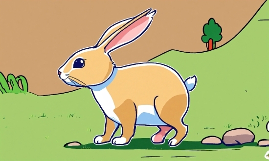 Ecoregion, Vertebrate, Cartoon, Nature, Natural Environment, Rabbit