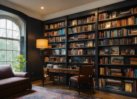 Furniture, Bookcase, Property, Shelf, Book, Shelving