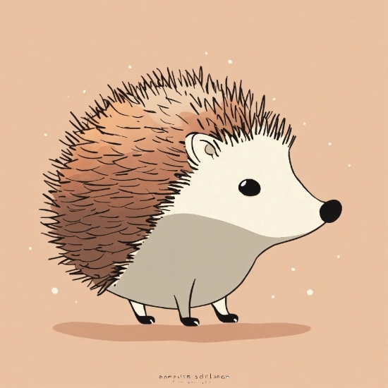Head, Hedgehog, Domesticated Hedgehog, Erinaceidae, Rodent, Whiskers