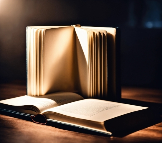 Jpeg Edit Online, Book, Lighting, Office Supplies, Publication, Wood