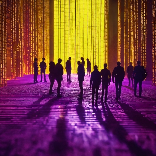 Muvee Reveal, Purple, Light, Violet, Line, Magenta