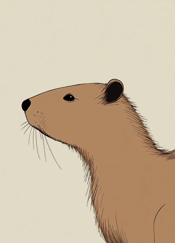 Rodent, Whiskers, Terrestrial Animal, Fawn, Art, Snout