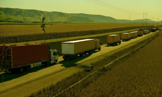 Sky, Plant, Ecoregion, Truck, Infrastructure, Natural Environment