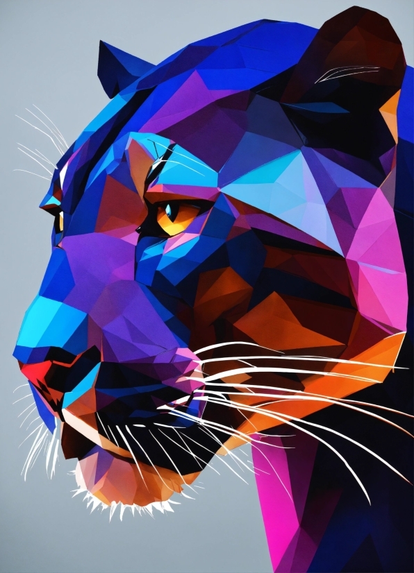 Status Video Maker Online, Eye, Felidae, Carnivore, Whiskers, Line