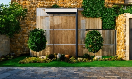 Ai Ml And Deep Learning, Plant, Green, Wood, Brickwork, Fixture