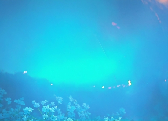 Atmosphere, Azure, Underwater, Aqua, Lens Flare, Electric Blue