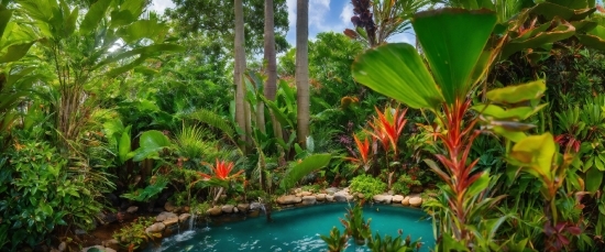 Best Ai Art Maker, Water, Flower, Plant, Nature, Body Of Water