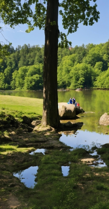 Best Dall E, Water, Plant, Sky, Tree, Natural Landscape