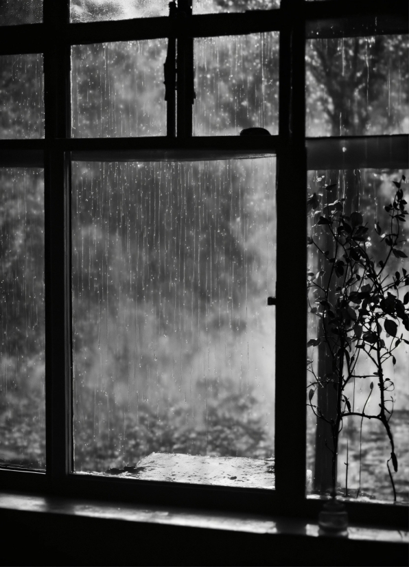 Imagine Prompt Ai, Window, Plant, Fixture, Black, Interior Design