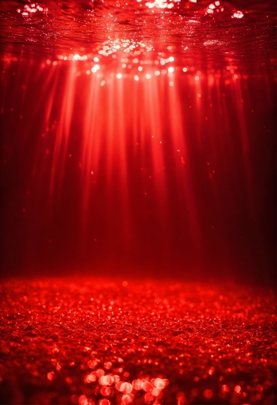 Luminar Photoshop, Fireworks, Plant, Nature, Red, Atmospheric Phenomenon