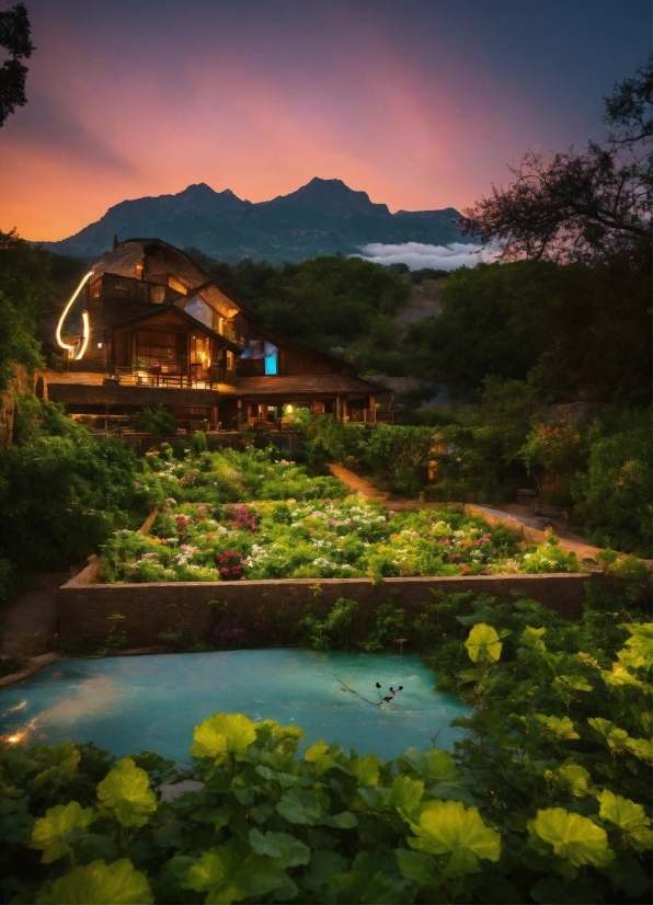 Pytorch Foundation, Water, Plant, Sky, Flower, Natural Landscape