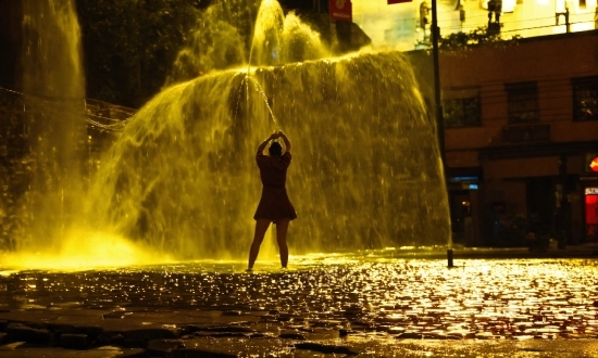 Robot Intelligence Technology And Applications, Water, People In Nature, Light, Green, Leaf