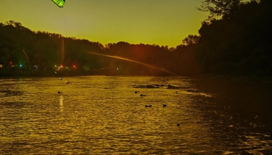 Top Ai Blogs, Water, Sky, Atmosphere, Plant, Cloud