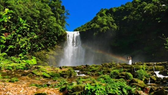 Water, Rainbow, Sky, Plant, Natural Landscape, Waterfall