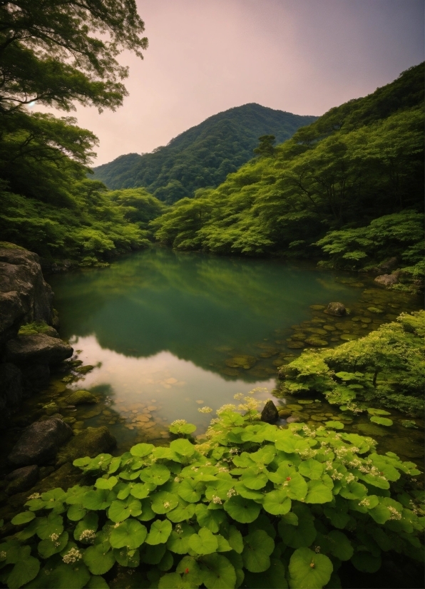 Water, Water Resources, Mountain, Plant, Sky, Green