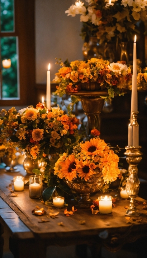 Best Apps For Freelance Graphic Designers, Flower, Candle, Table, Plant, Tableware