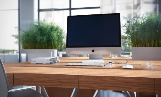 Best Websites For Copyright Free Images, Computer, Table, Personal Computer, Plant, Furniture