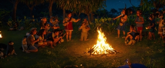 Bonfire, Fire, Shorts, Campfire, Heat, Fun