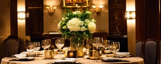 Canva Design Principles, Flower, Tableware, Table, Furniture, Drinkware