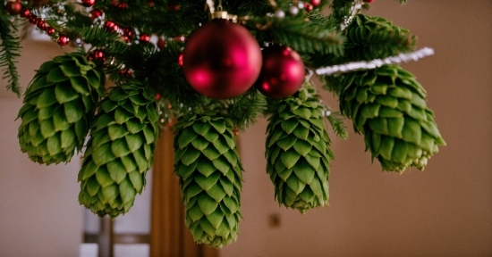 Christmas Ornament, Holiday Ornament, Ornament, Evergreen, Terrestrial Plant, Twig