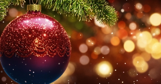 Christmas Tree, Christmas Ornament, Light, Holiday Ornament, Branch, Ornament