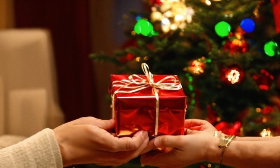 Christmas Tree, Christmas Ornament, Plant, Holiday Ornament, Finger, Ornament