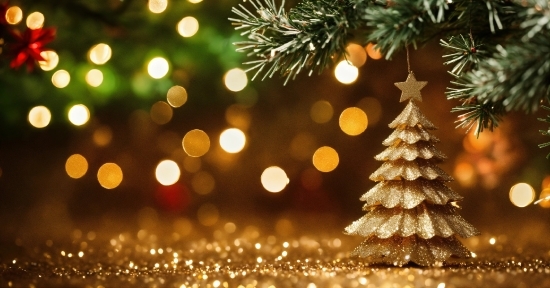 Christmas Tree, Christmas Ornament, Plant, Light, Branch, Larch