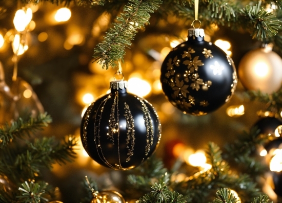 Christmas Tree, Christmas Ornament, Plant, Light, Holiday Ornament, Evergreen
