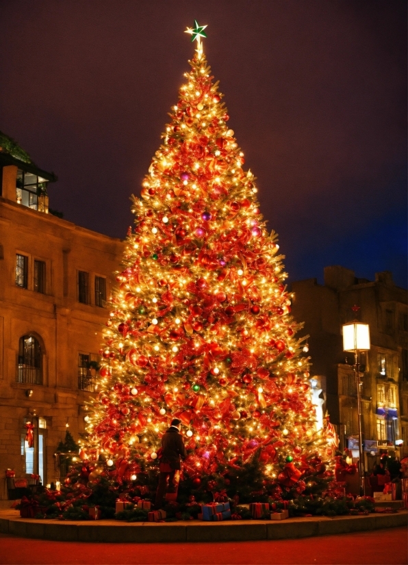 Christmas Tree, Christmas Ornament, Sky, Plant, Electricity, Tree