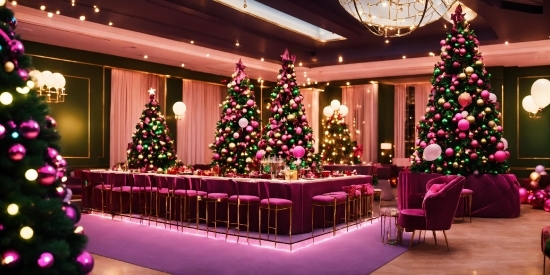 Christmas Tree, Decoration, Christmas Ornament, Property, Photograph, Light
