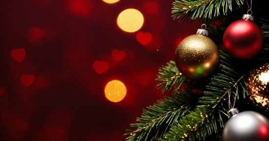 Christmas Tree, Light, Christmas Ornament, Holiday Ornament, Evergreen, Ornament