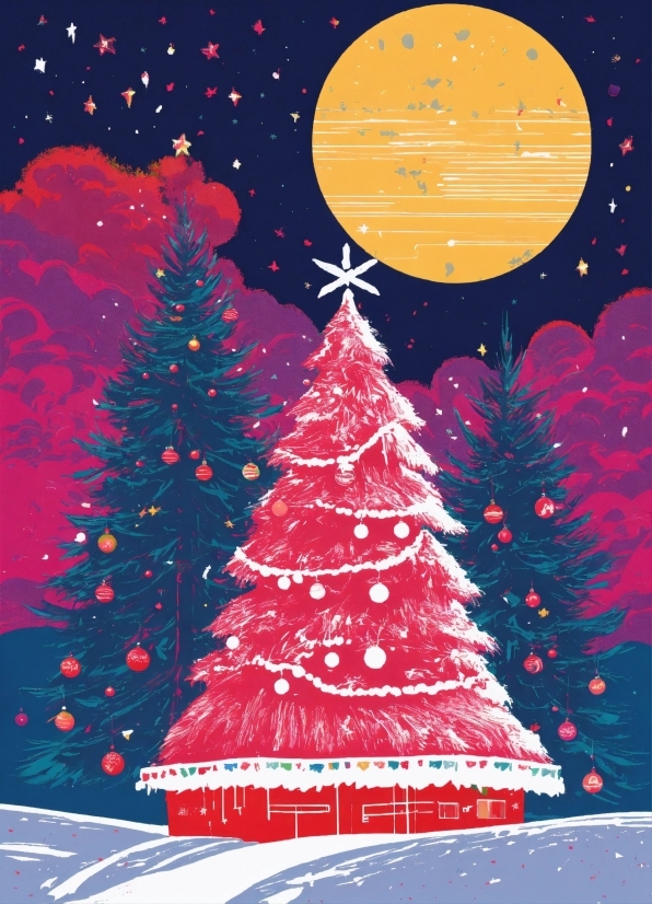 Christmas Tree, Light, Sky, Christmas Ornament, Organism, Christmas Decoration