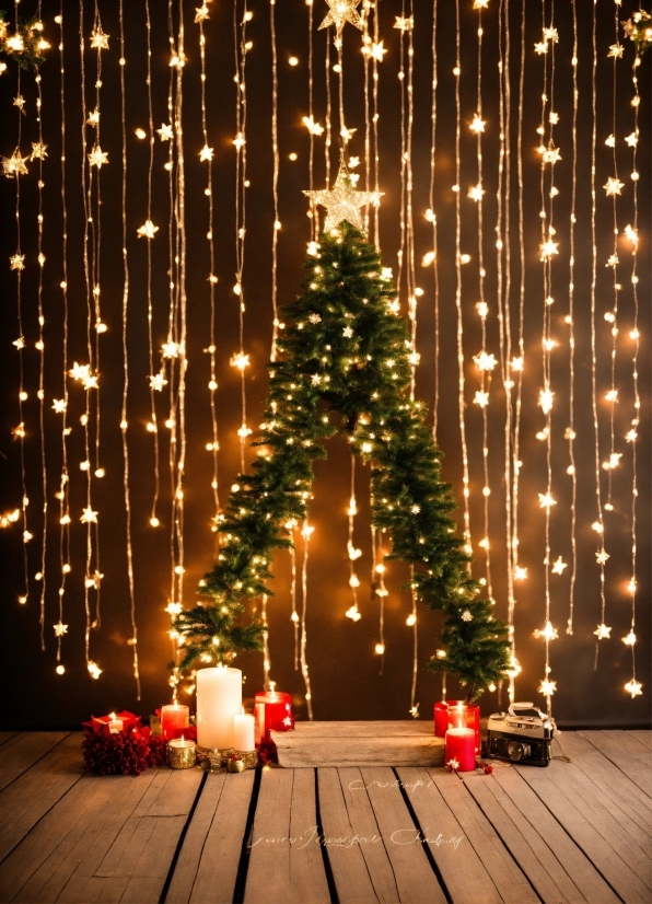 Christmas Tree, Plant, Christmas Ornament, Decoration, Street Light, Branch
