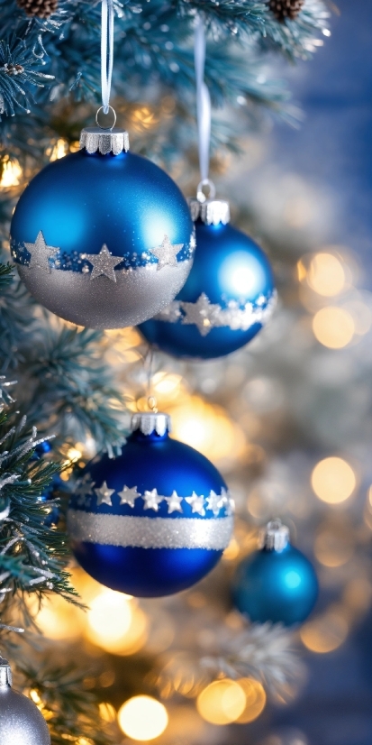 Christmas Tree, Plant, Christmas Ornament, Light, Blue, Holiday Ornament