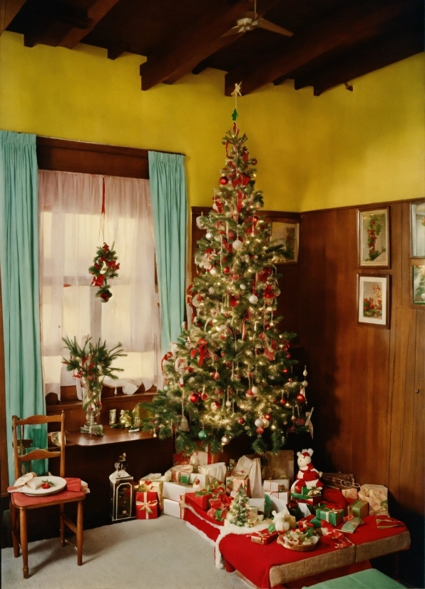 Christmas Tree, Plant, Christmas Ornament, Property, Holiday Ornament, Decoration