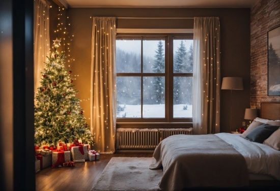 Christmas Tree, Plant, Window, Building, Wood, Christmas Ornament