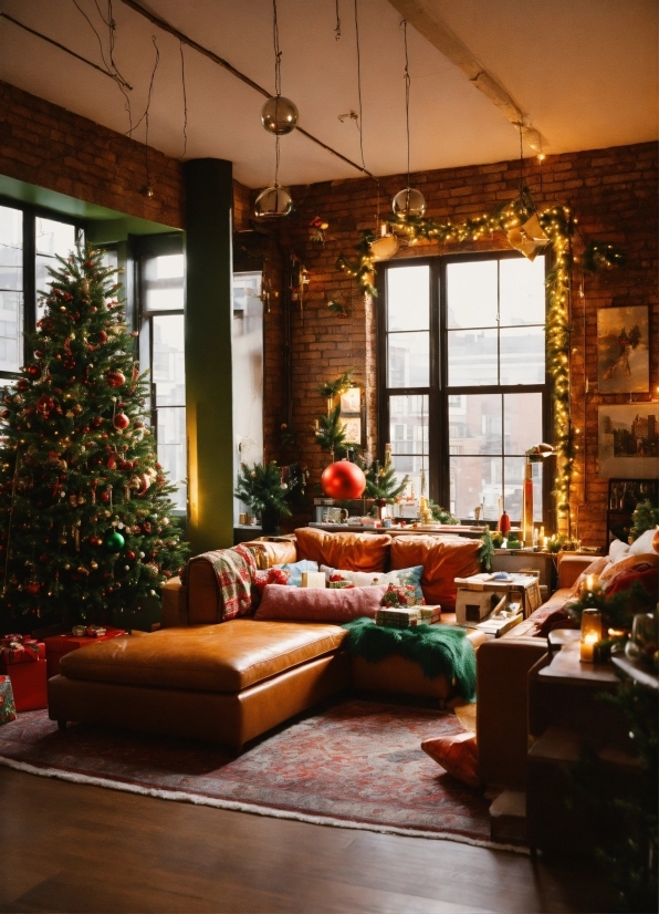 Christmas Tree, Property, Couch, Window, Building, Wood